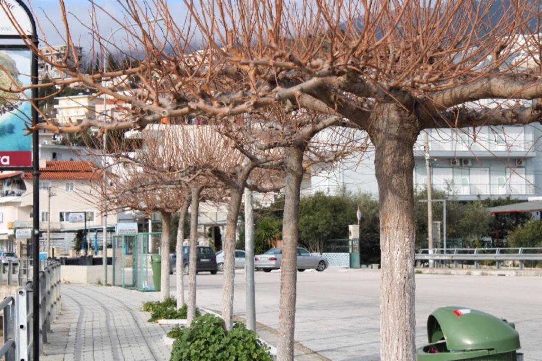 Hotel Portokali Himarë Exterior foto
